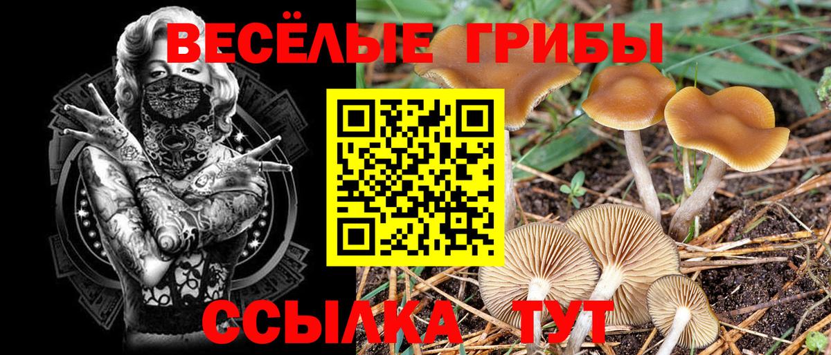 Москва  Псилоцибиновые грибы прущие грибы  Псилоцибиновые грибы Psilocybine cubensis  Вход с VPN 