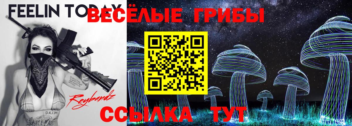 Псилоцибиновые грибы MAGIC MUSHROOMS Москва